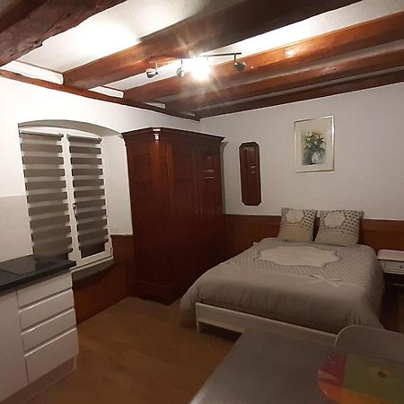 Appartement Vauban Colmar Bagian luar foto